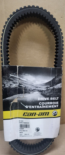 Cinghia can oem maverick - can, am